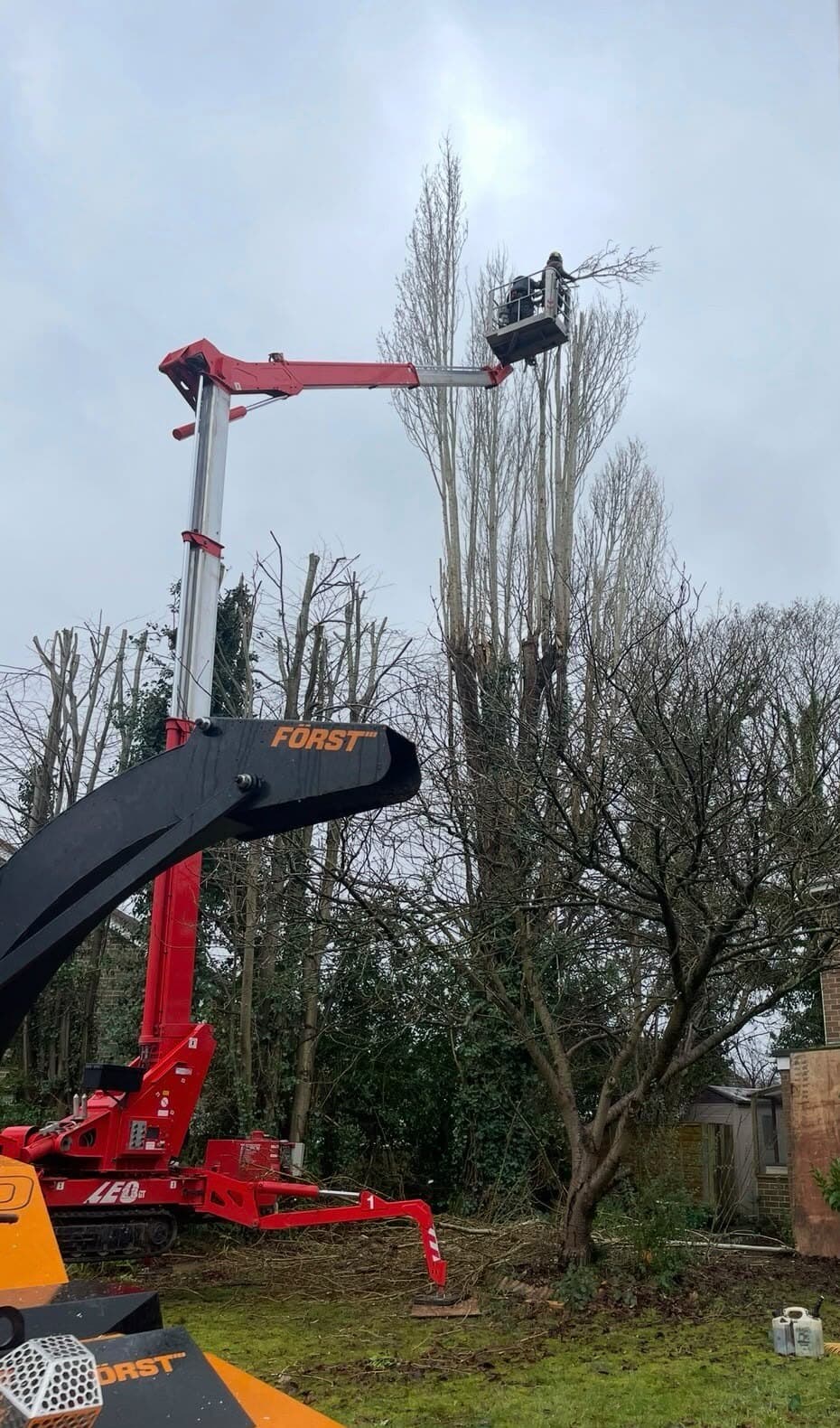 Poplars being reduced from a tracked access platform, with a chipper below
