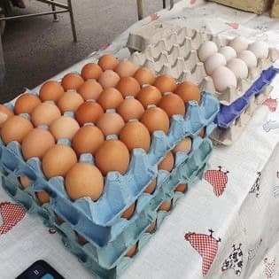 Trays of free-range eggs on a market stall