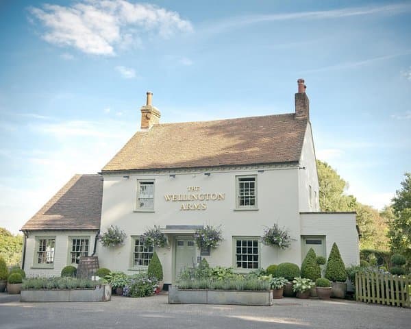 The Wellington Arms, Baughurst, a cream painted house with a tiled roof and brick chimneys, hanging baskets at the door and planters of lavender and clipped box along the front.