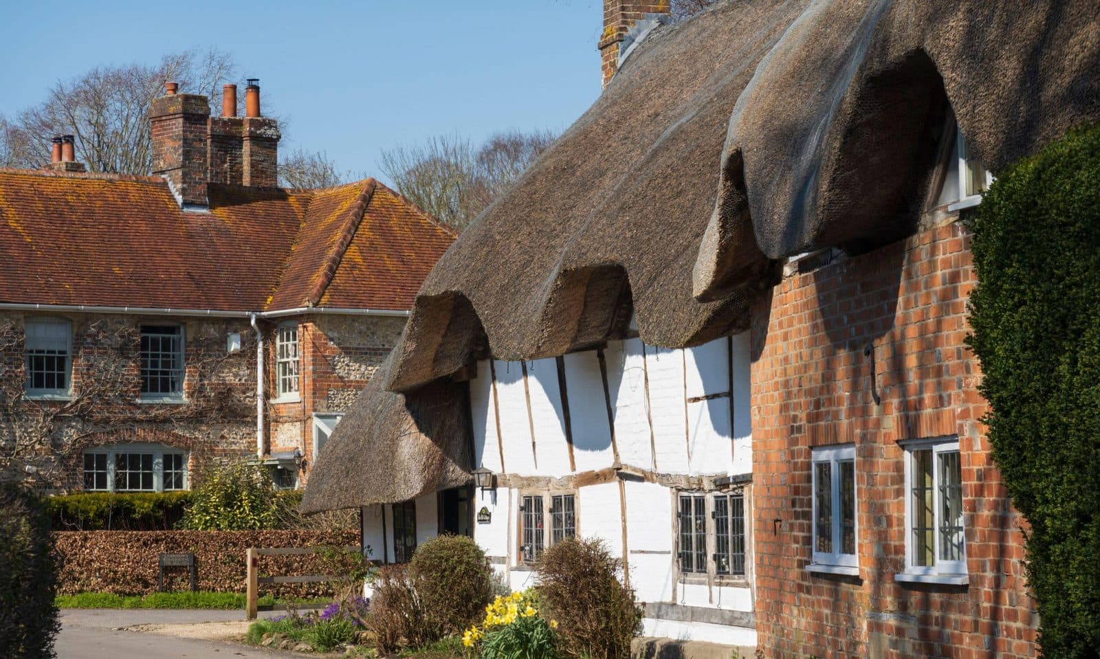 A thatched, timber framed cottage of brick and white render on a village lane, an older brick and flint house with tall chimneys beyond it, daffodils in flower by the road.